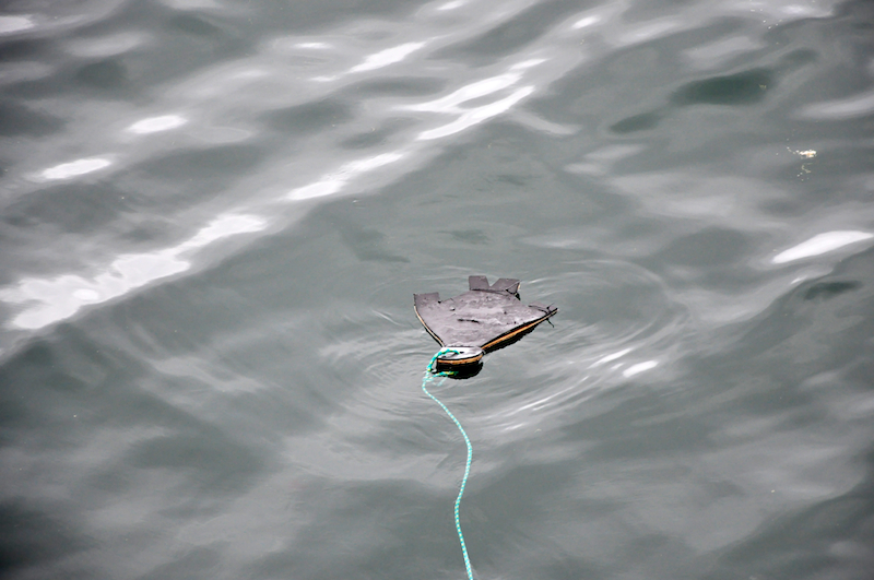 Melanie Heinrich Travel images Capetown -Shark diving Africa